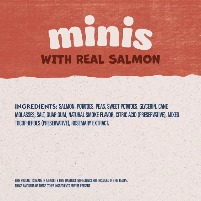 Rewards Minis Training Treat Canister - Salmon