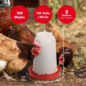 Heated Poultry Waterer