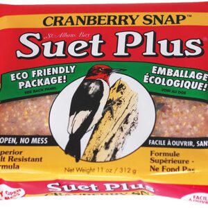 SUET PLUS-CRANBERRY SNAP