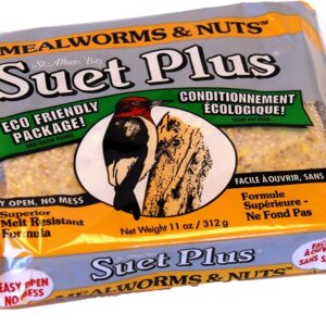 SUET PLUS-MEALWORMS & NUTS
