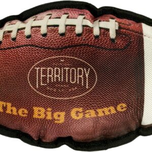 Big Game Football with Squeaker
