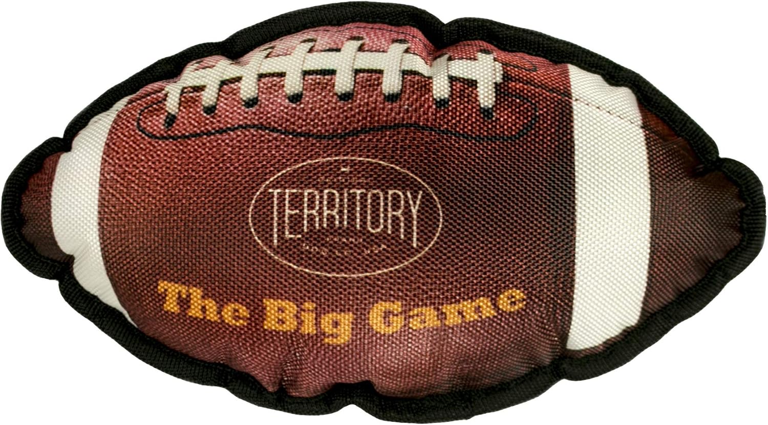 Big Game Football with Squeaker