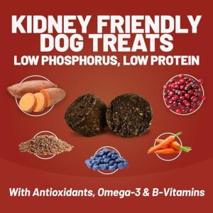 DAVES DOG RENAL FRIENDLY TREAT