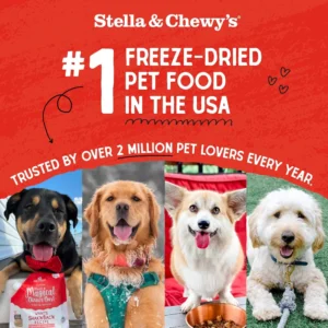 Freeze Dried Stella's Super Beef Meal Mixer