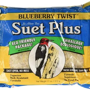 SUET PLUS-BLUEBERRY TWIST