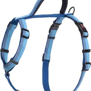HALTI Walking Harness (chest 16" - 24") - Blue