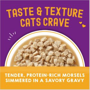Carnivore Cravings Morsels'N'Gravy Chicken & Beef Recipe Pouch