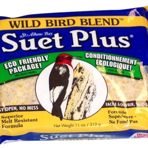 SUET PLUS-WILD BIRD BLEND