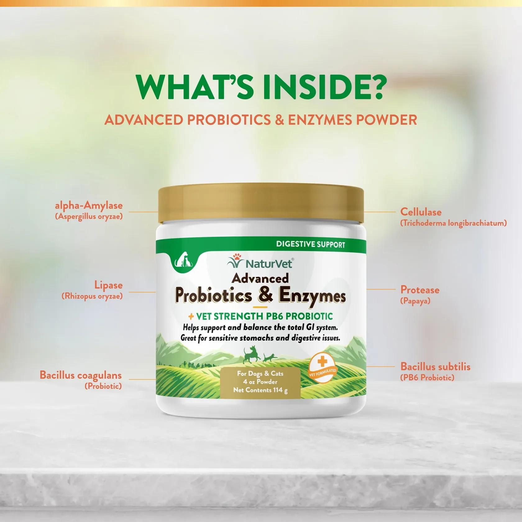 Advanced Probiotic & Enzyme Powder