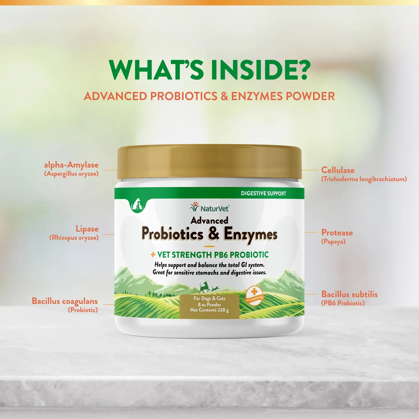 Advanced Probiotic & Enzyme Powder