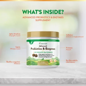 Advanced Probiotic & Enzymes Soft Chew Jar