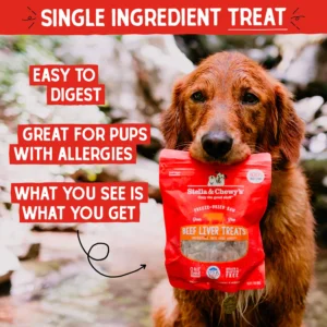 Freeze Dried Single Ingredient - Beef Liver