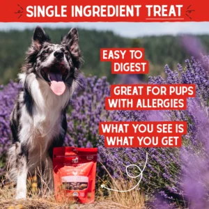 Freeze Dried Single Ingredient - Chicken Heart