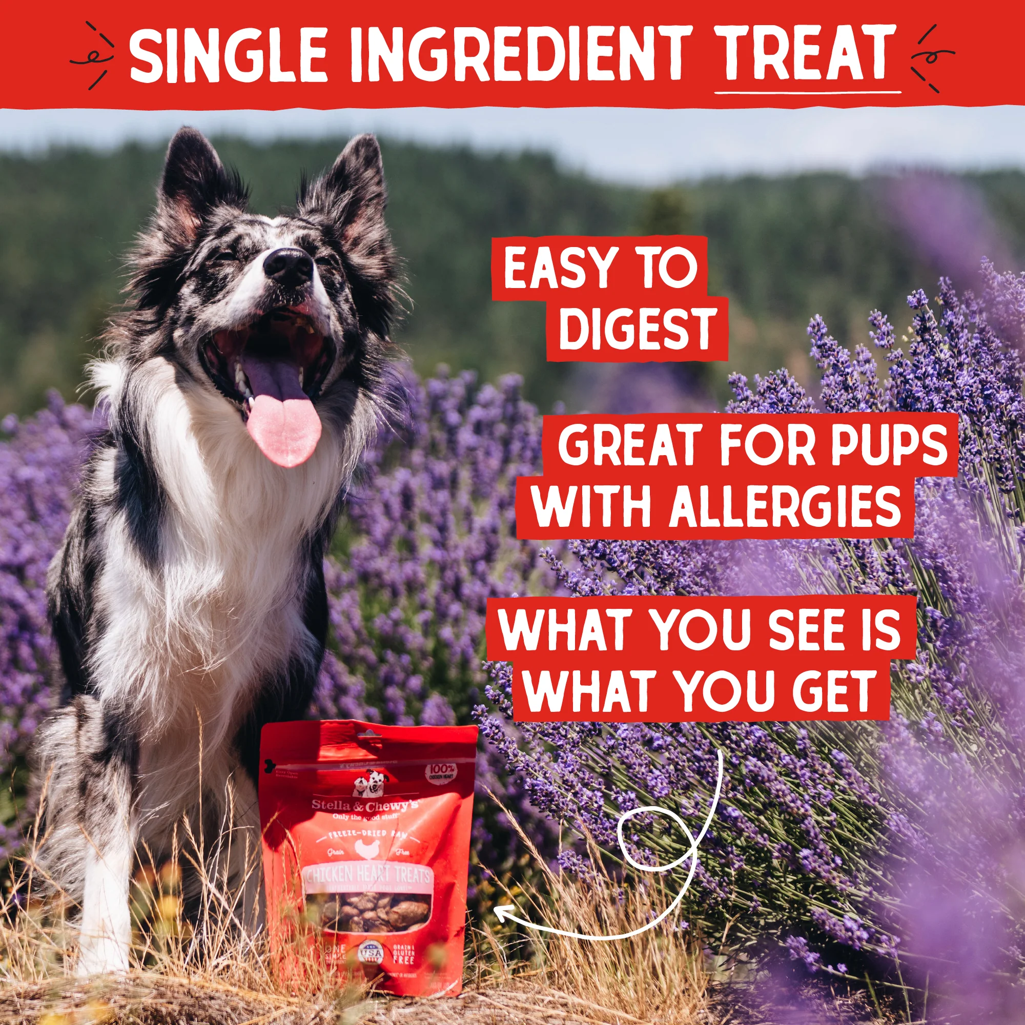 Freeze Dried Single Ingredient - Chicken Heart