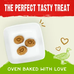 Raw Coated Biscuits Cage-Free Duck