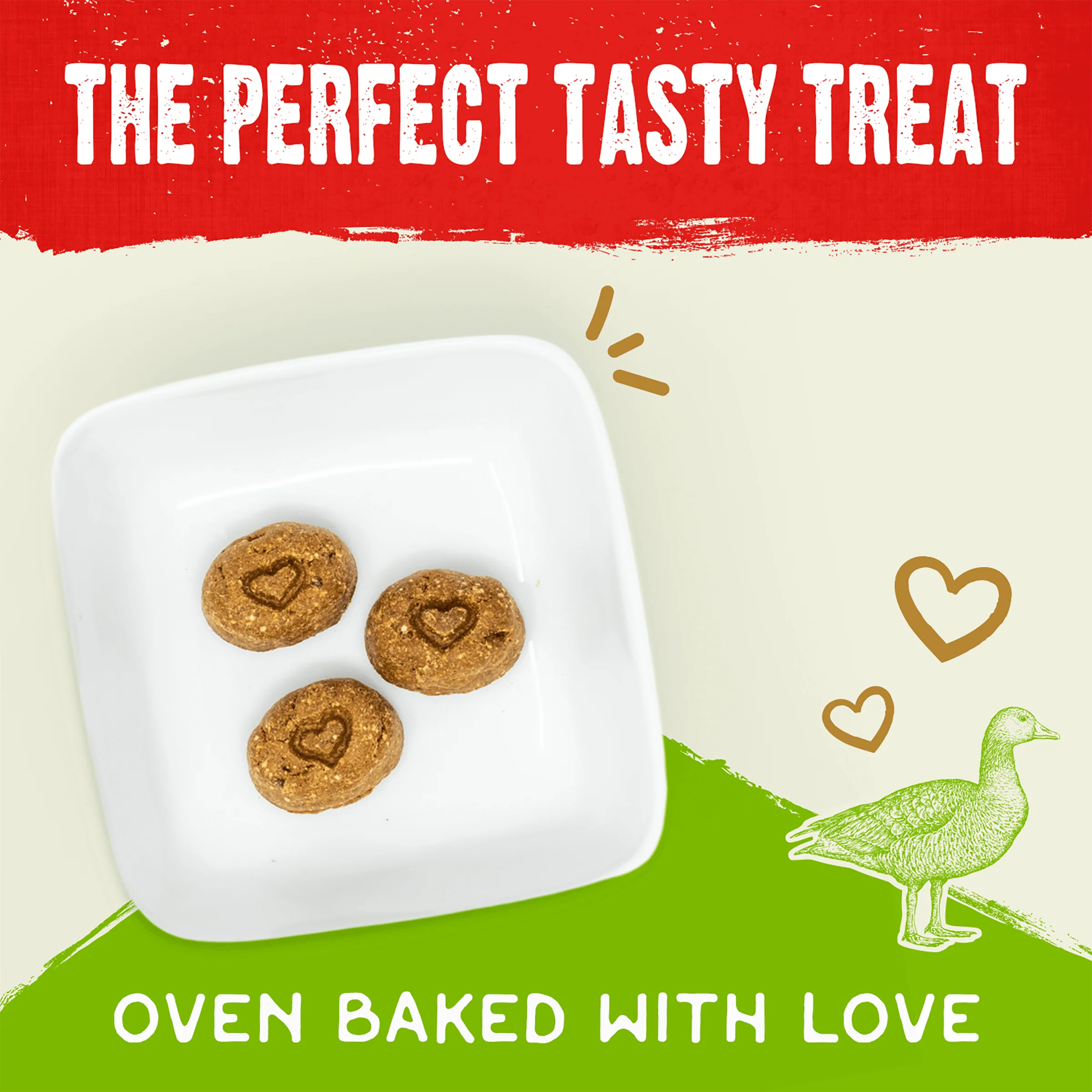 Raw Coated Biscuits Cage-Free Duck