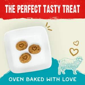 Raw Coated Biscuits Grass-Fed Lamb