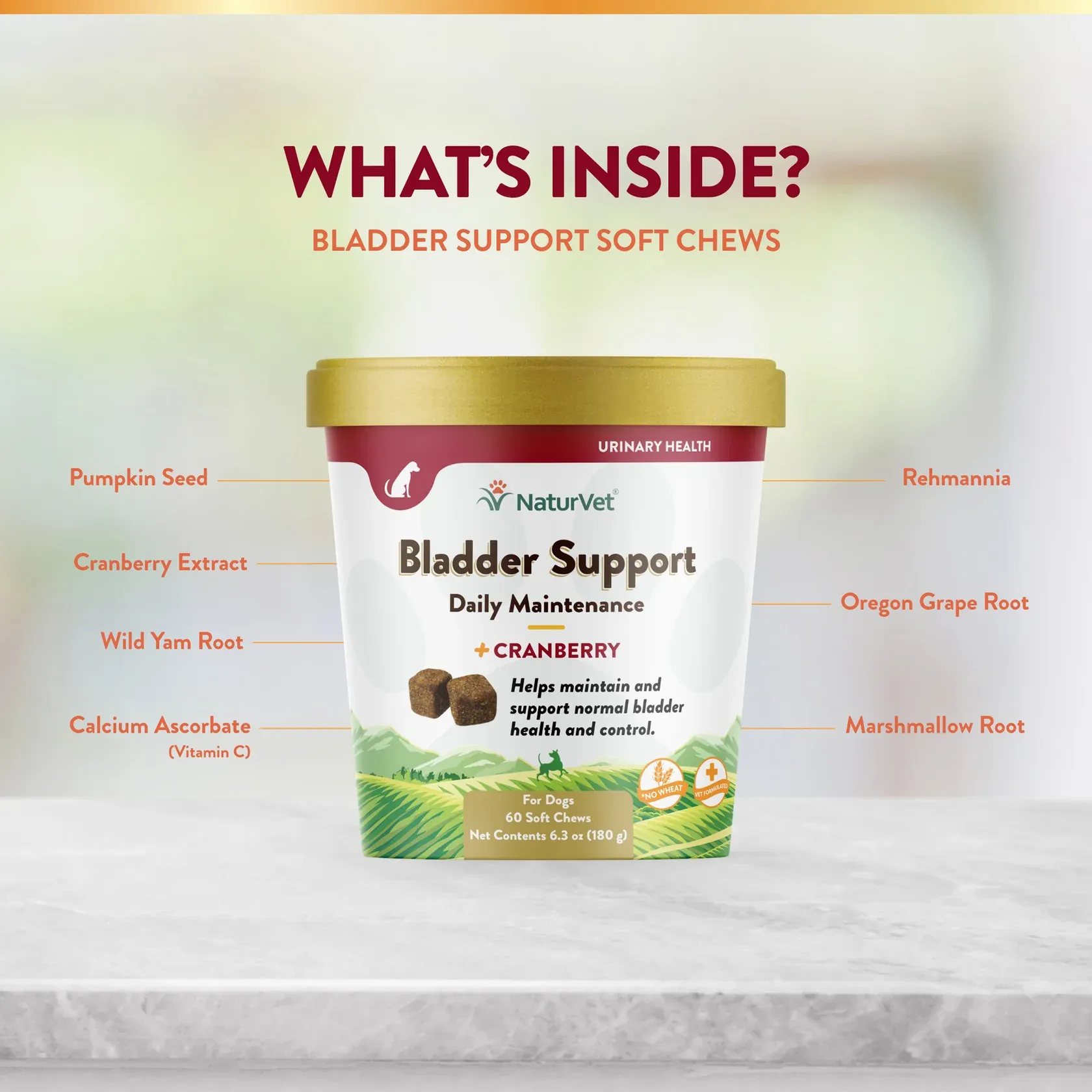Bladder Support + Cranberry Soft Chew Cup