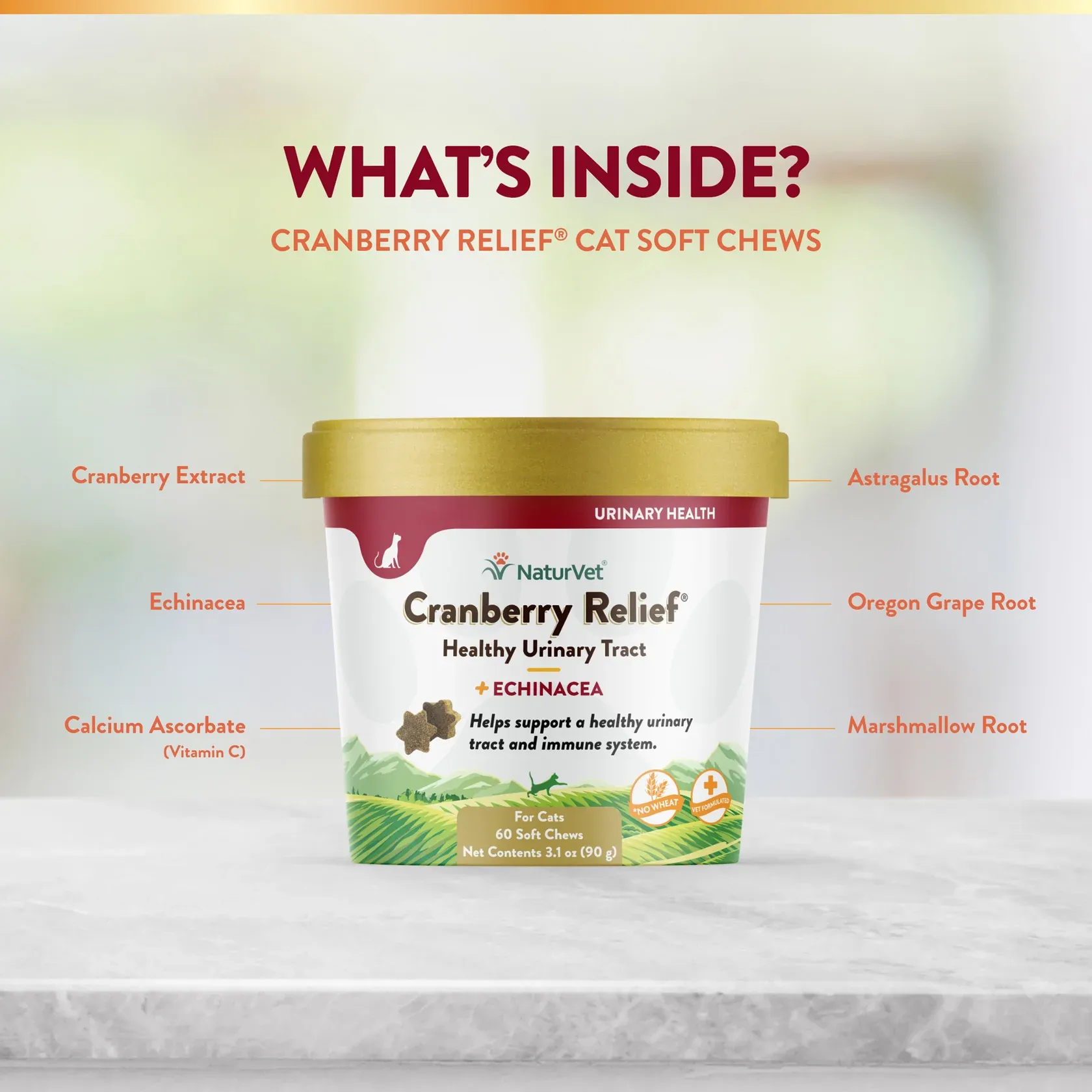 Cranberry Relief + Echinacea Soft Chew Cup