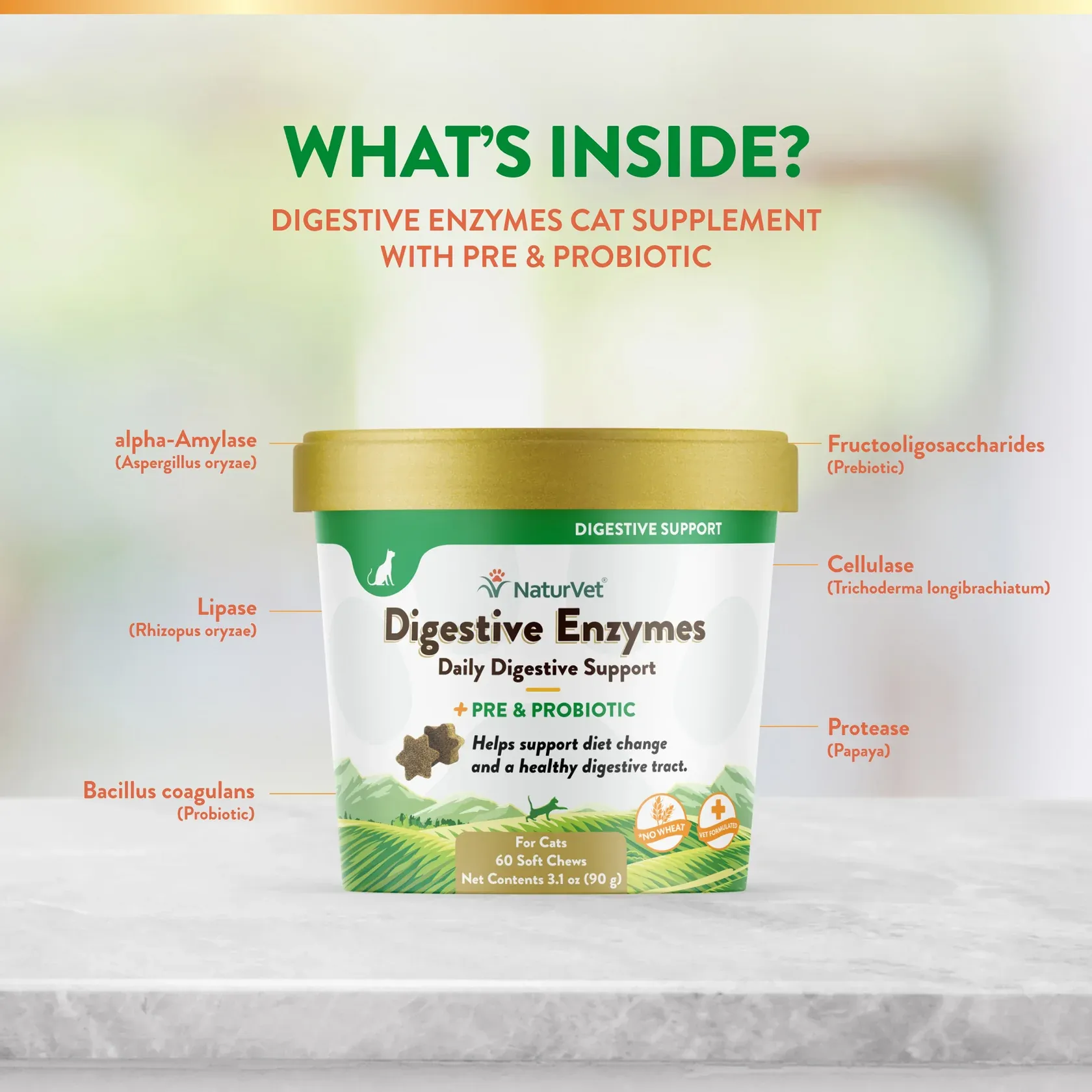Digestive Enzymes + Probiotics Soft Chew Cup