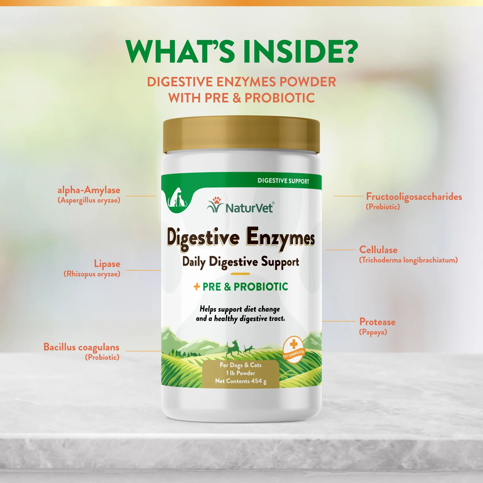 Digestive Enzymes Plus & Probiotic Powder