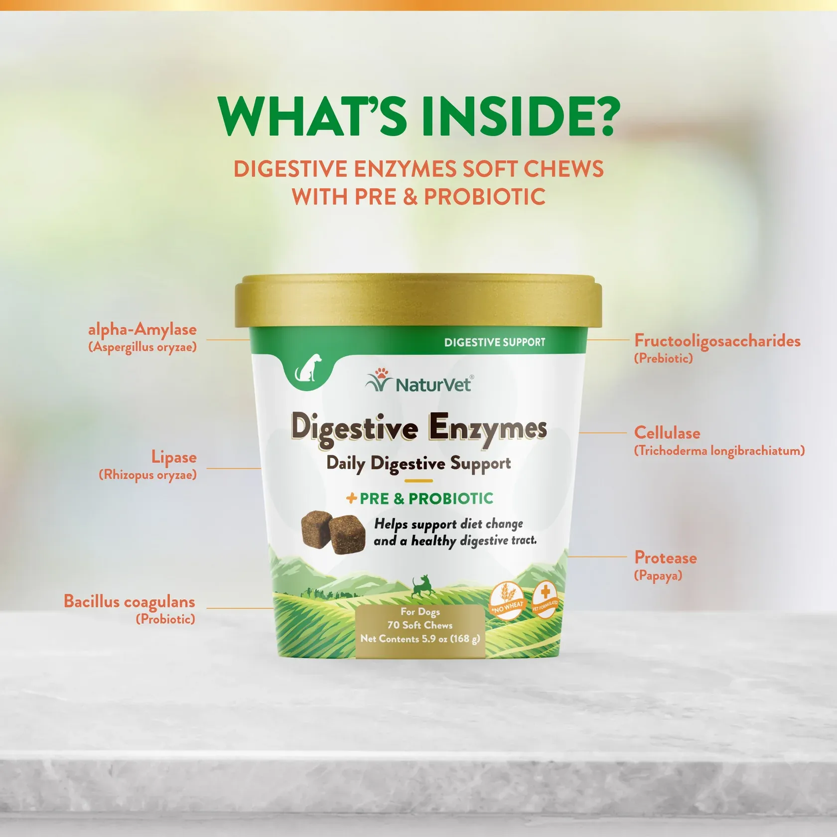 Digestive Enzymes + Probiotics Soft Chew Cup