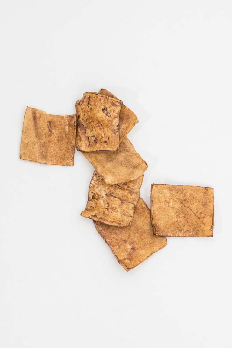 Frankly Chicken Chips