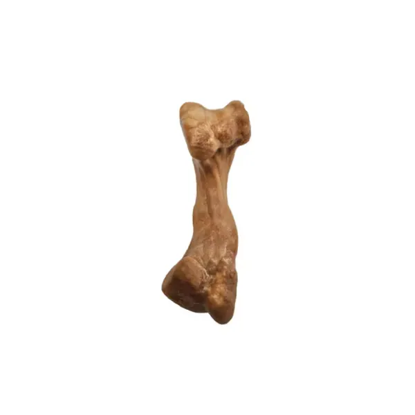 Healthy Edibles Wild - Bison
