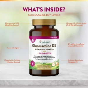 Glucosamine DS Level 1 - Double Strength Time Release