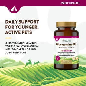 Glucosamine DS Level 1 - Double Strength Time Release
