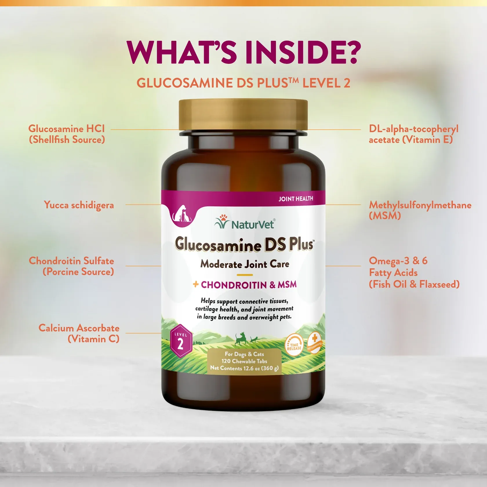 Glucosamine-DS + Level 2 with MSM Tablets Time Release