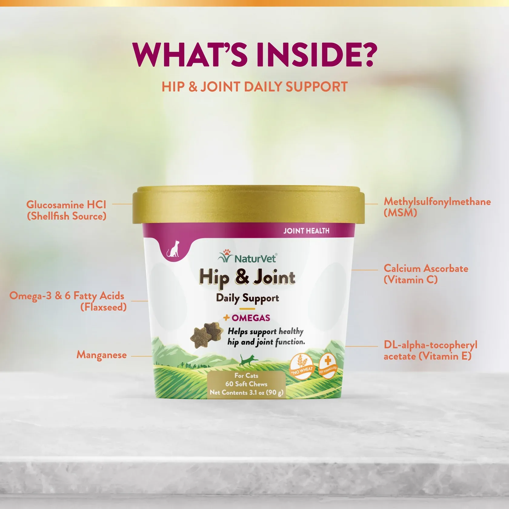 Hip & Joint Plus Omegas Soft Chew Cup