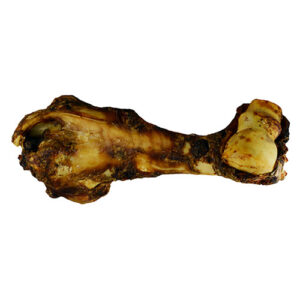 JONES DINO BONES SHRINKWRAP