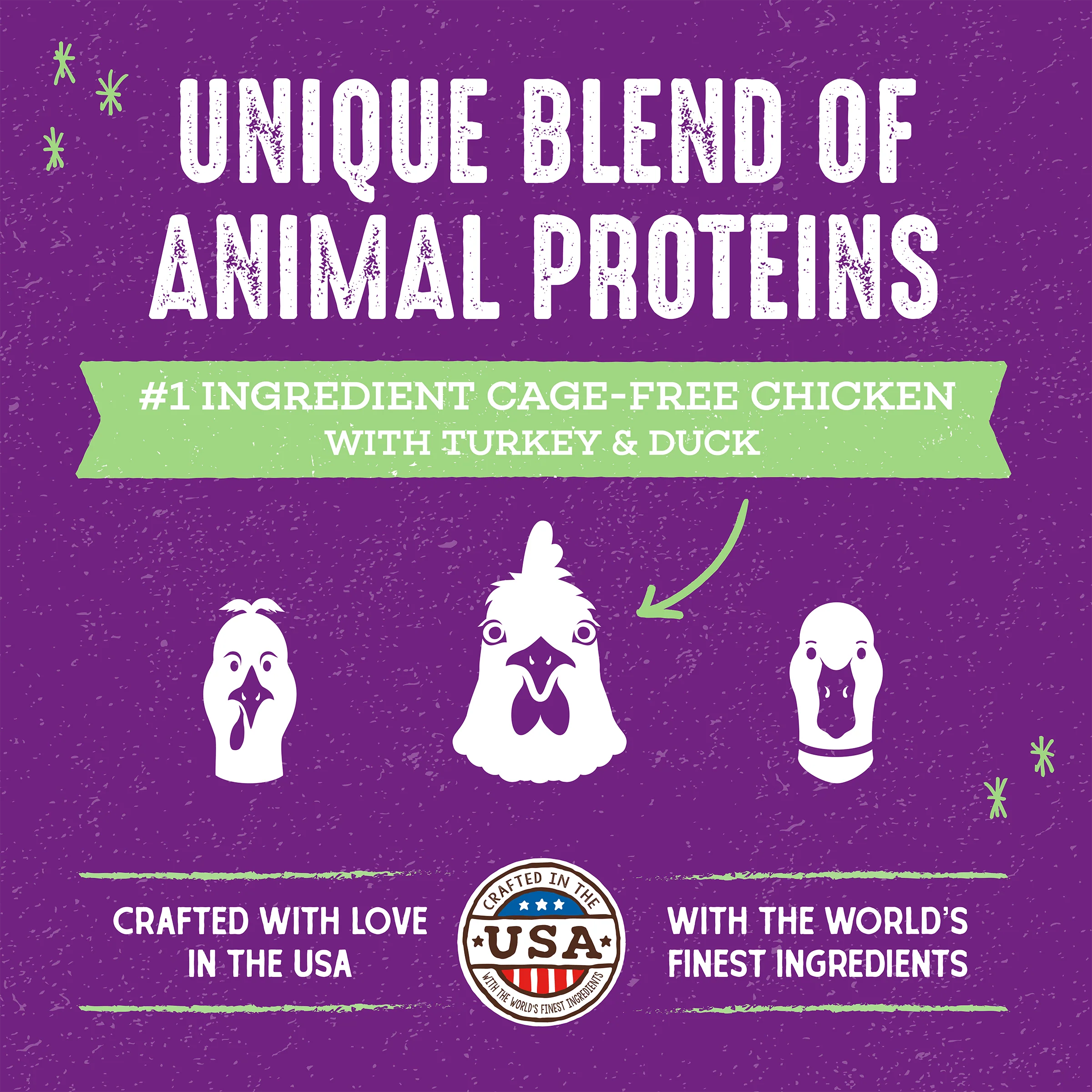 Raw Blend Cage-free Poultry Recipe
