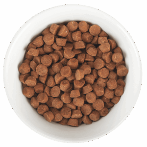 Born Carnivore Baby Kibble - Chicken & Egg