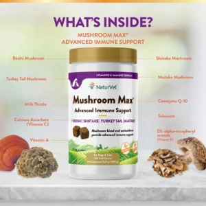 Mushroom Max - Advanced Immune Support