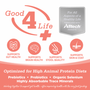 NutriSource Grain-Free Cat & Kitten - Ocean Select - Trout, Whitefish Meal & Salmon