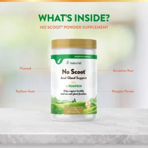 No Scoot Powder