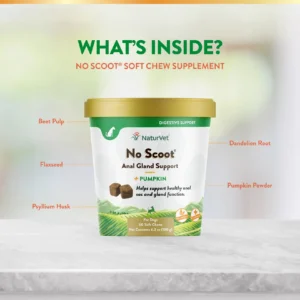 No Scoot Plus Pumpkin Soft Chew Cup