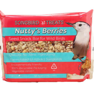 SB TREAT BAR-LG NUTTYS BERRIES