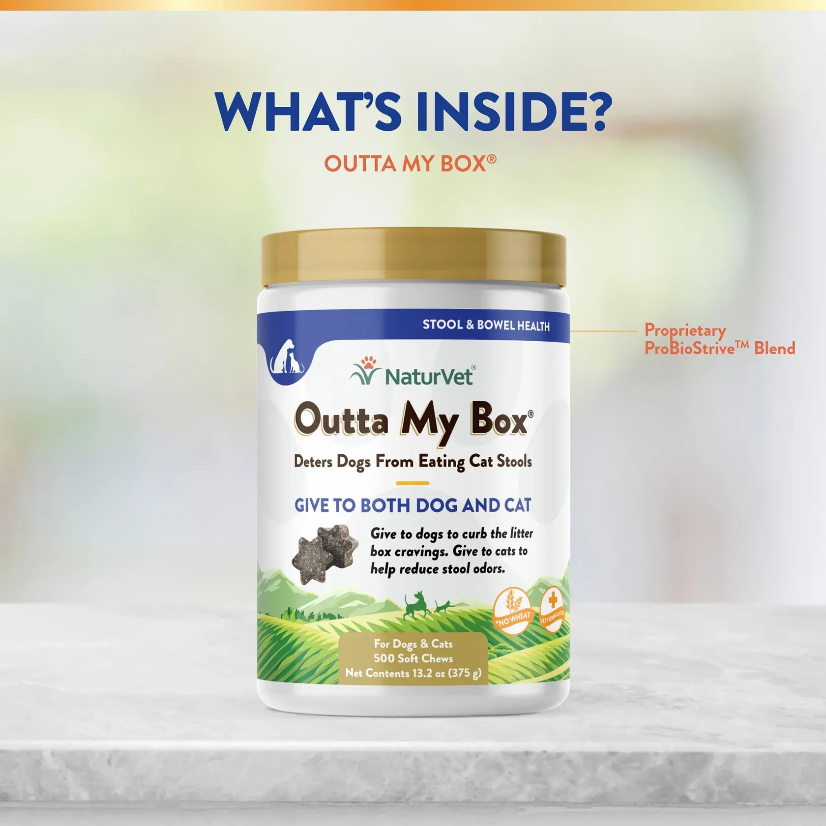 Outta My Box