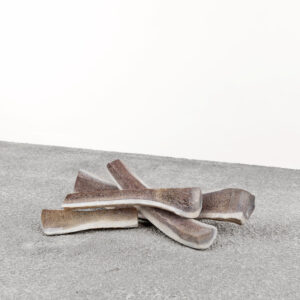 Elk Antler