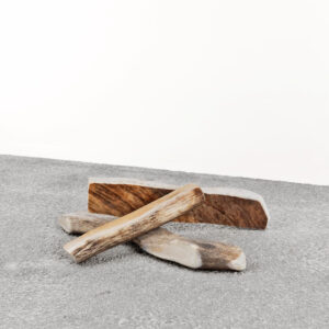 Moose Antler
