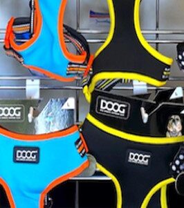 Neon Collar, Leash & Harness Rack