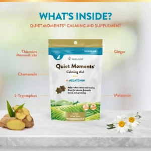 Quiet Moments + Melatonin Soft Chews