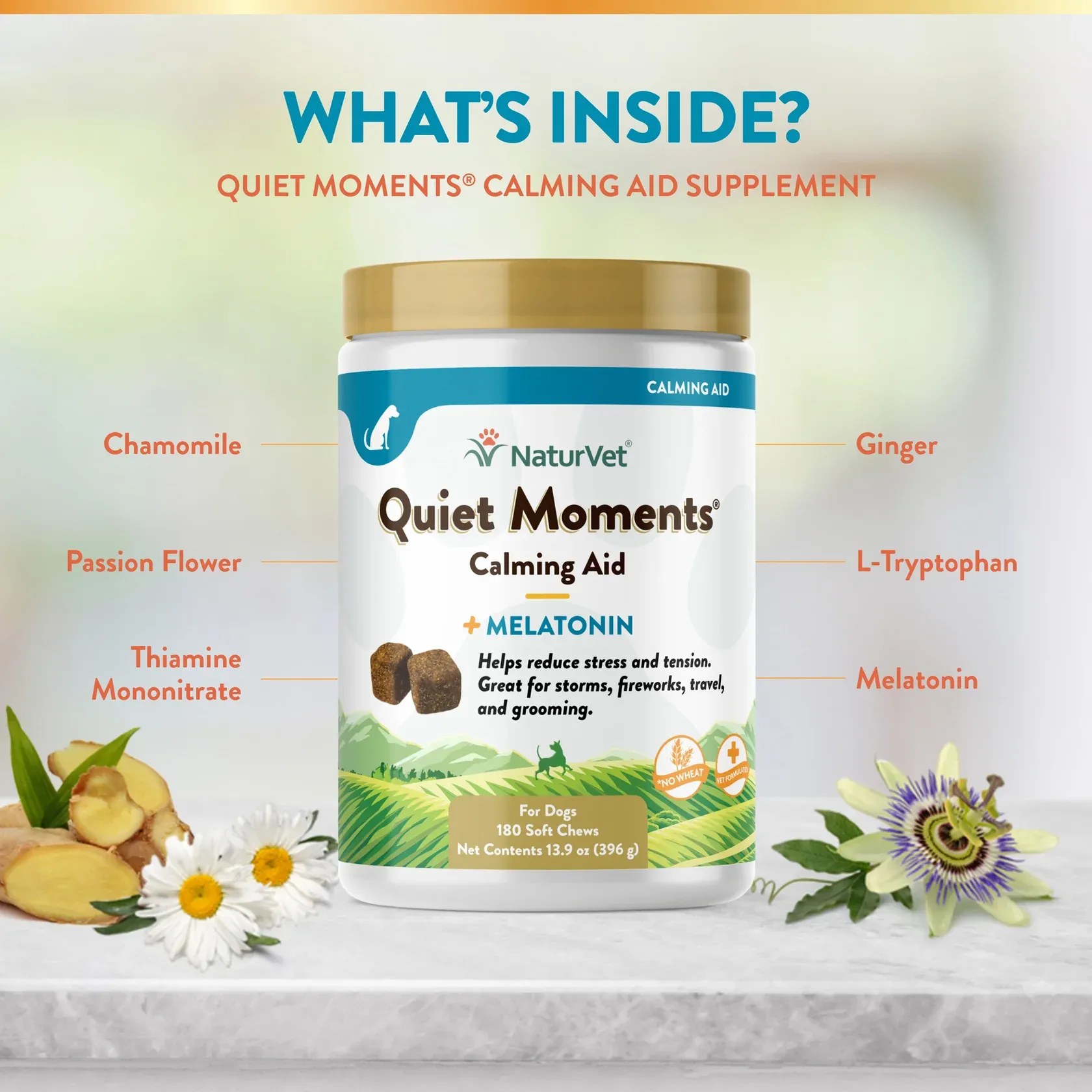 Quiet Moments + Melatonin Soft Chews