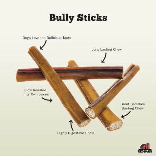 Odor Free Bully Stick 12"