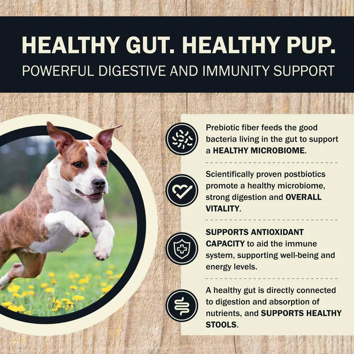Dog Air Dried Beef & Lamb Gut Health Trial