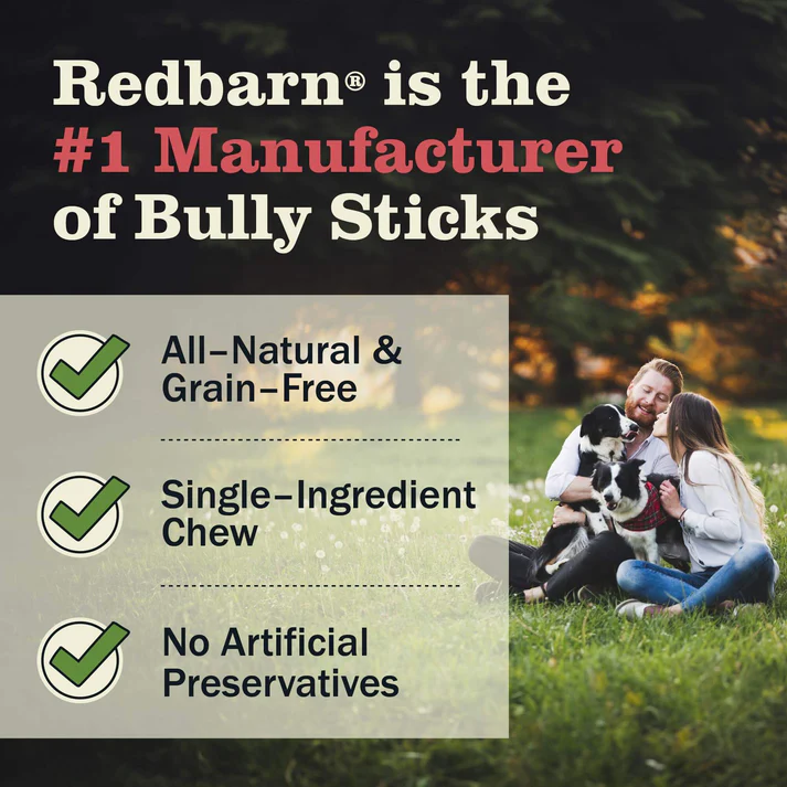 Bully Stick 3- 4"