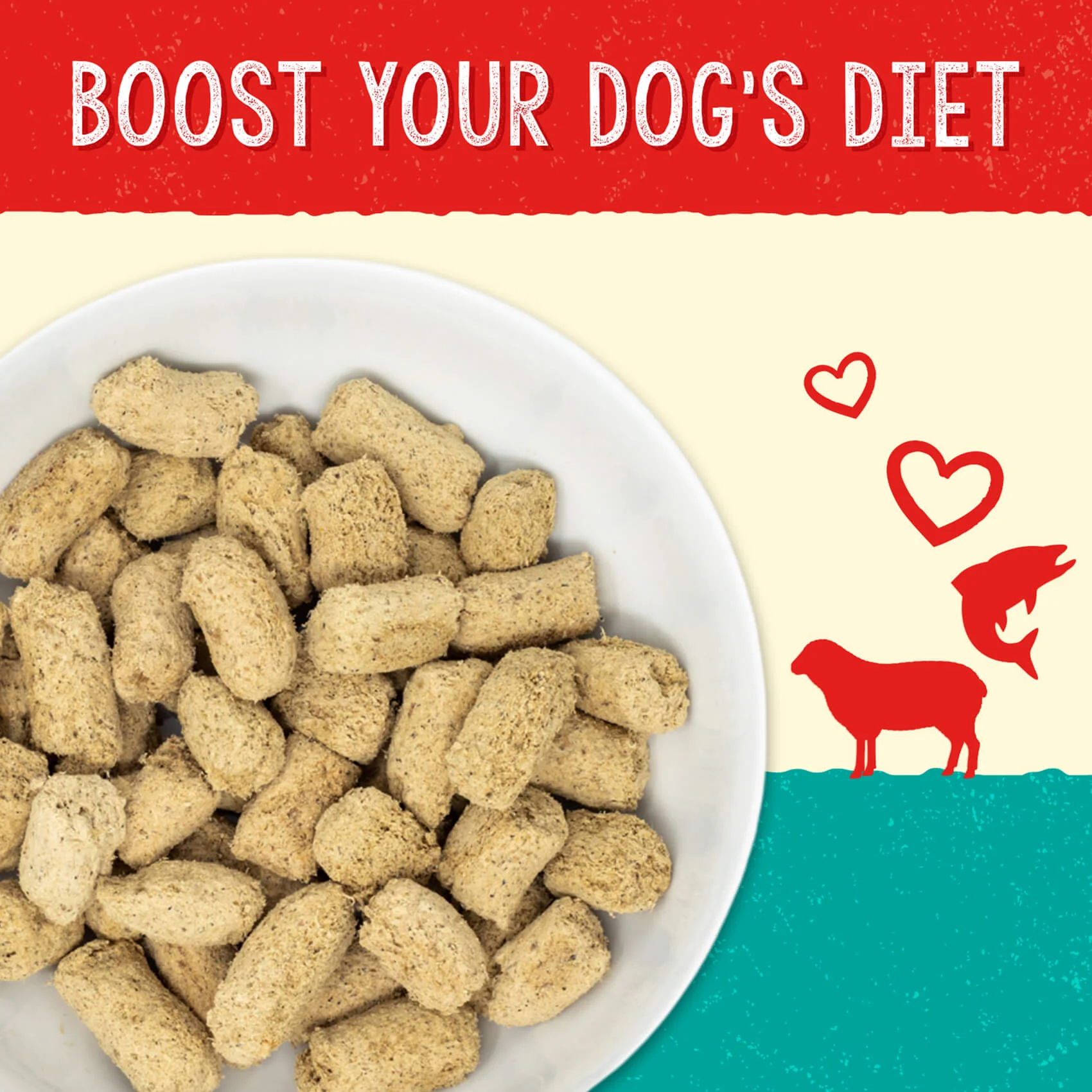 Freeze Dried Stella Solutions Skin & Coat Grass-Fed Lamb & Wild Caught Salmon Recipe